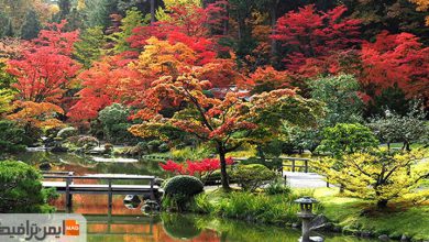 باغ ژاپنی